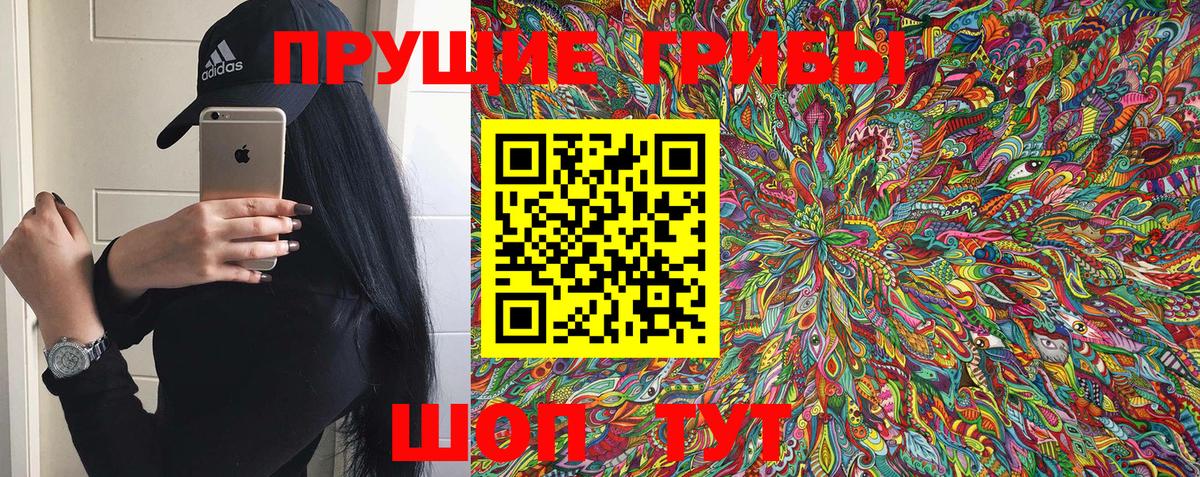 Стерлитамак  Псилоцибиновые грибы Psilocybe  Вход с VPN 